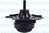 KAVO PARTS EEM-2064 Engine Mounting